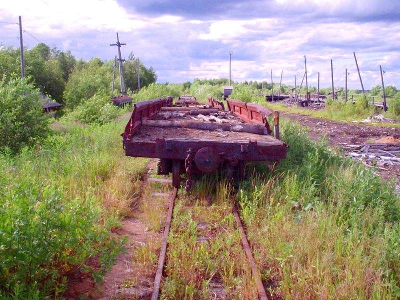 Авнюгская УЖД - Тщета всего сущего